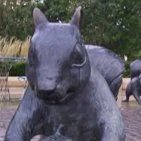 Bayliss Park